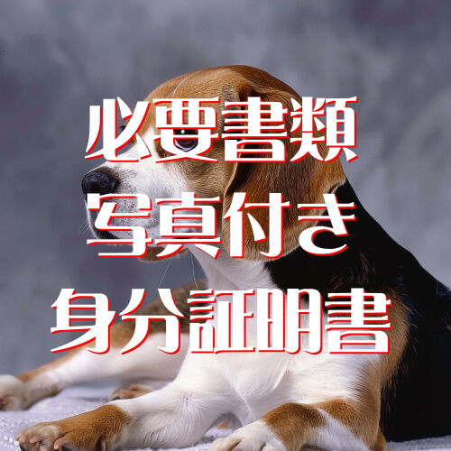 必要書類